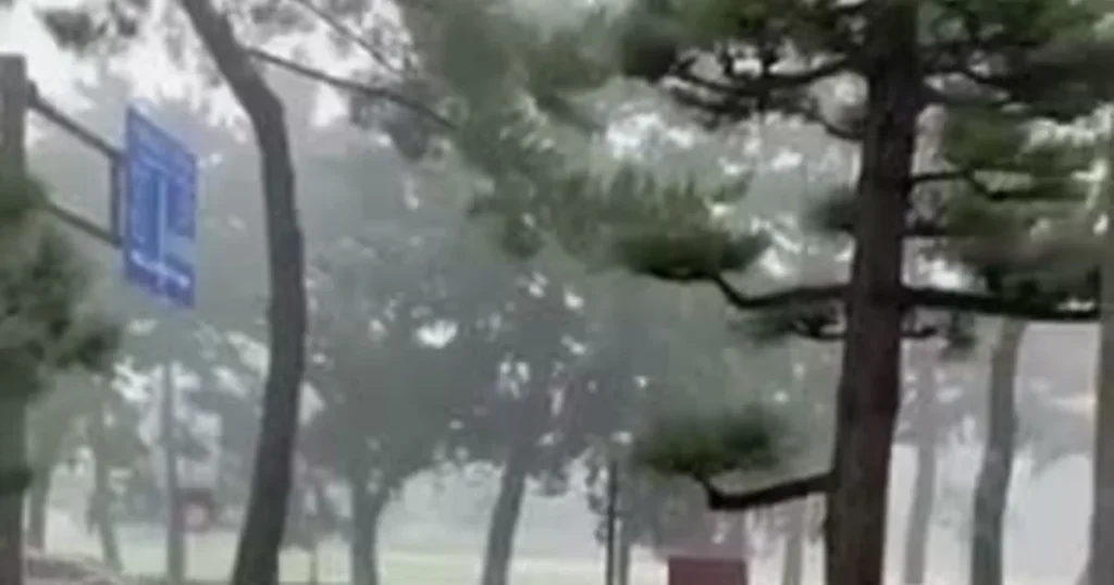 記事「雨宿りするシカたちが人と並ぶ光景に、海外から驚きと和みの声」のアイキャッチ